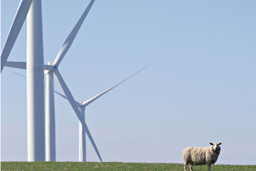 wind farm 